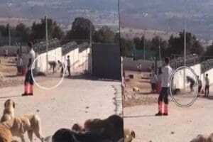 Konya B&uuml;y&uuml;kşehir Belediyesi'ne ait Hayvan Rehabilitasyon Merkezi'nde, k&uuml;rekle k&ouml;peğe vurarak