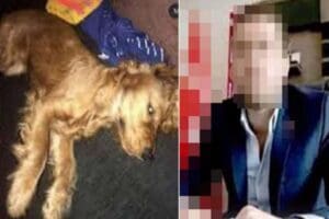 Ankara'da, kendisine emanet edilen Cocker cinsi k&ouml;peğe cinsel istismarda bulunarak