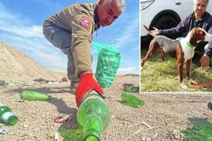 Şenol Yurttaş sabah yürüyüşünde köpeği cam parçasına basarak yaralanınca doğadaki