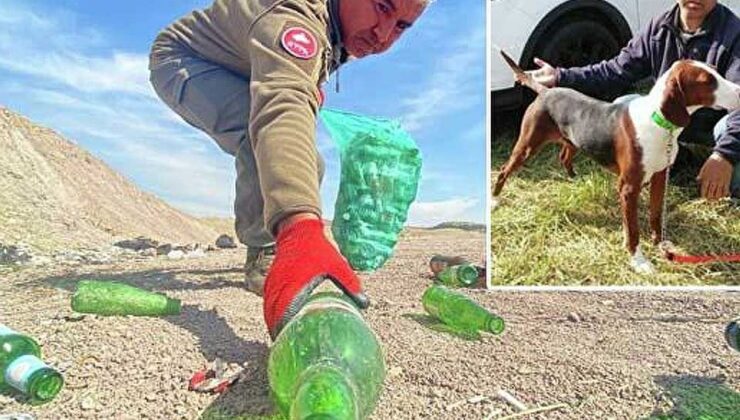 Köpeğinin ayağını cam kesen Yurttaş gönüllü olarak şişe topluyor