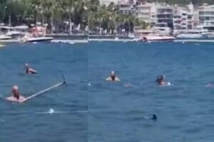 Muğla'nın Marmaris il&ccedil;esinde k&ouml;pekbalığı paniği yaşandı. K&ouml;pekbalığını fark eden yurttaşlar,