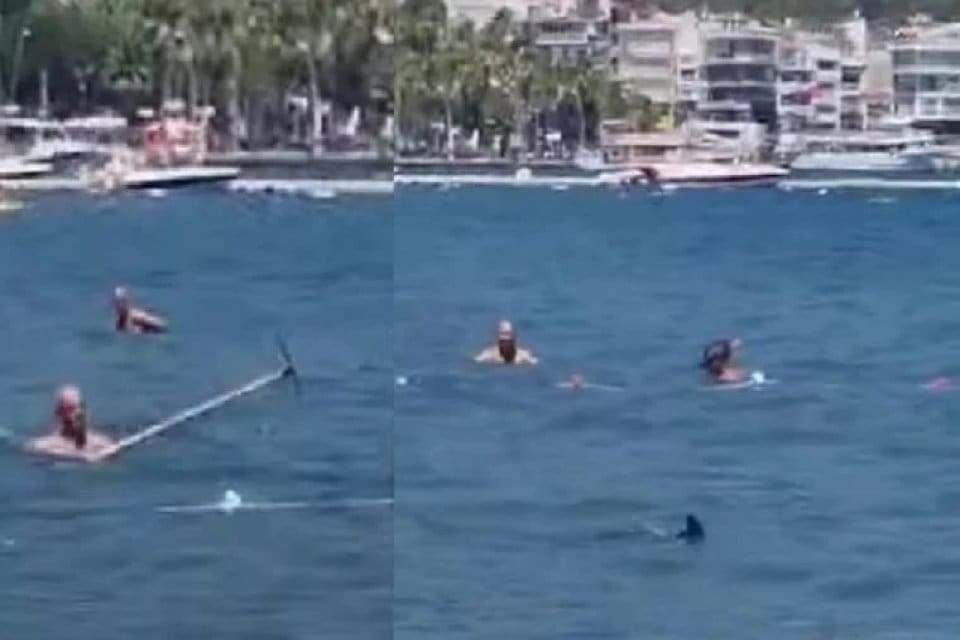 Muğla'nın Marmaris il&ccedil;esinde k&ouml;pekbalığı paniği yaşandı. K&ouml;pekbalığını fark eden yurttaşlar,