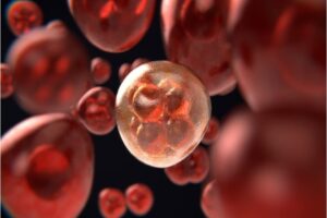 Kanser hastalığı hali hazırda d&uuml;nya &ccedil;apındaki &ouml;l&uuml;mlerin sebebi olarak ilk