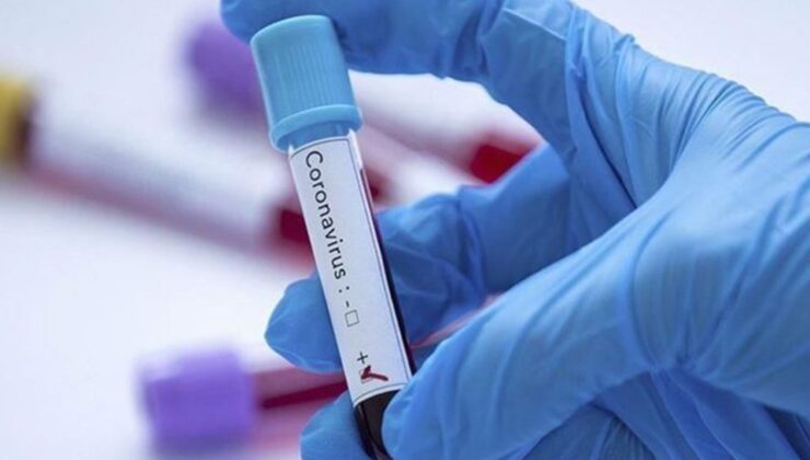 Koronavirüs verileri açıklandı: 194 can kaybı, 12 bin 171 yeni vaka