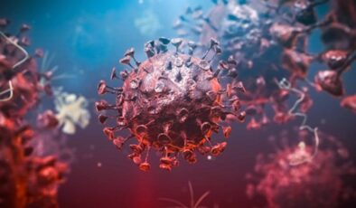 Koronavirüs verileri açıklandı: 340 can kaybı, 25 bin 980 yeni vaka