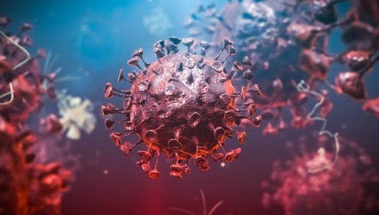 Koronavirüs verileri açıklandı: 340 can kaybı, 25 bin 980 yeni vaka