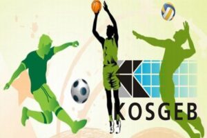 KOSGEB tarafından desteklenen sekt&ouml;rlerde değişiklik yapılmasına ilişkin karar Resmi Gazete&rsquo;de