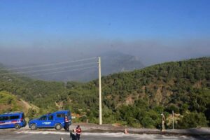 Muğla'nın Köyceğiz ilçesinde, makilik alanda başlayıp ormana sıçrayan yangın, 12'nci