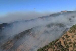 Muğla'nın K&ouml;yceğiz il&ccedil;esinde, makilik alanda başlayıp, ormana sı&ccedil;rayan yangını s&ouml;nd&uuml;rme