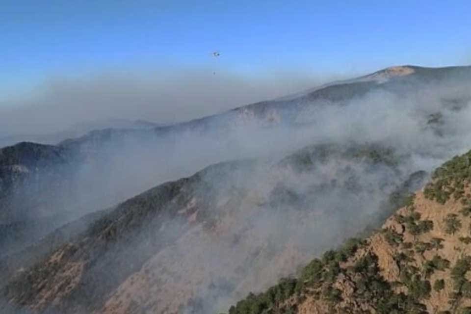 Muğla'nın K&ouml;yceğiz il&ccedil;esinde, makilik alanda başlayıp, ormana sı&ccedil;rayan yangını s&ouml;nd&uuml;rme