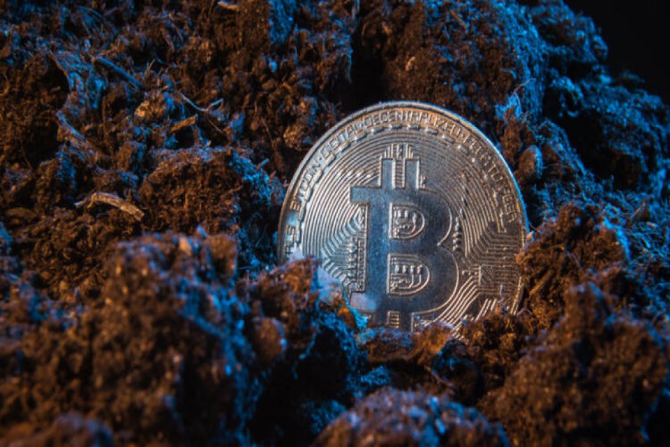 Kripto paralardaki kan kaybı sürüyor. Bitcoin ve altcoinler rekorlarına bile