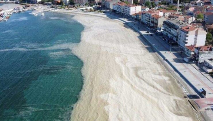 Kritik musilaj açıklaması: 'Ege Denizi’nde partikül sayısı artarsa…'