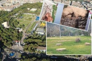 İzmir B&uuml;y&uuml;kşehir Belediyesi, K&uuml;lt&uuml;rpark&rsquo;ta kırmızı palmiye b&ouml;ceği nedeniyle &ouml;len 72