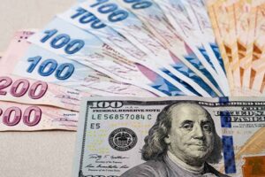 T&uuml;zel kişilerin d&ouml;vizden T&uuml;rk lirası mevduata ge&ccedil;işte sağlanacak destek i&ccedil;in