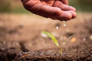 T&uuml;rkiye Ziraat Odaları Birliği (TZOB) Genel Başkanı&nbsp;Şemsi Bayraktar, tarımsal alanda