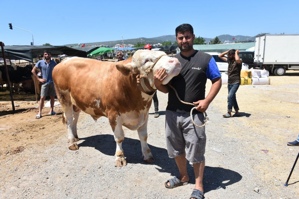 İZMİR'in Gaziemir il&ccedil;esindeki kurban pazarına Adana'dan getirilen 1 ton 250