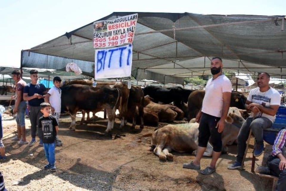 İzmir'de, kurbanlıkların satıldığı hayvan pazarlarında arife g&uuml;n&uuml; hareketlilik arttı. Bayram