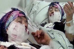 Erzurum'un Tortum il&ccedil;esine bağlı kırsal Kire&ccedil;li Mahallesi'ne inen bir kurt,