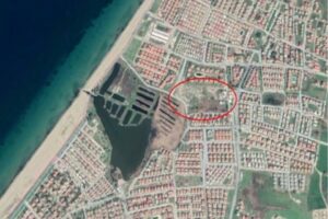 Aydın&rsquo;ın Kuşadası il&ccedil;esinde yazlık siteler arasında kalan 22 d&ouml;n&uuml;ml&uuml;k tek