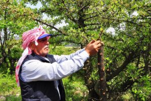 Manisa'da, deri sektöründe uzun yıllar çalışarak, emekli olduktan sonra doğup,