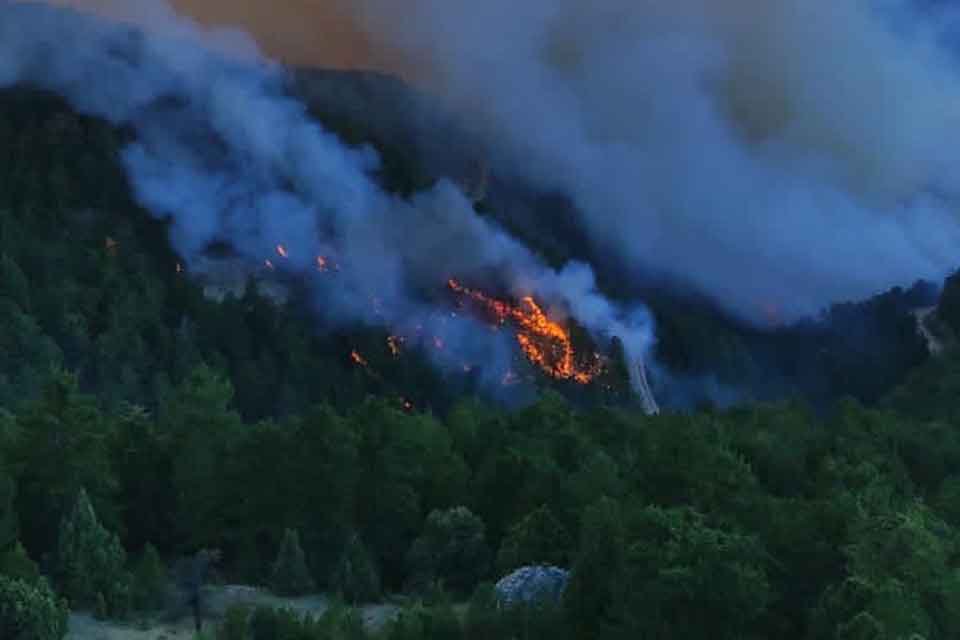 K&Uuml;TAHYA'nın Emet il&ccedil;esinde orman yangını &ccedil;ıktı. Ekipler, havadan ve karadan
