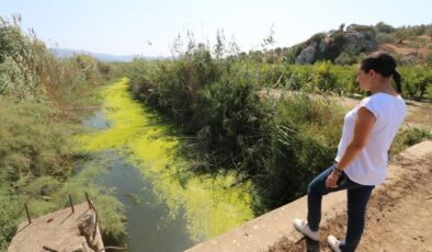 'Kuyu Kurumadan' su çalıştaylarında ikinci durak Efes Selçuk