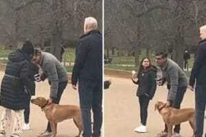 İngiltere Başbakanı&nbsp;Rishi Sunak&nbsp;ve ailesi, Hyde Park'ta k&ouml;peği tasmasız gezdirdiği i&ccedil;in