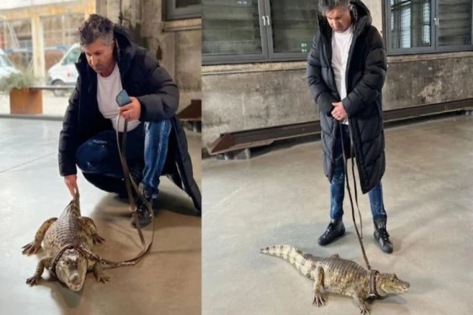 Almanya'da ge&ccedil;en yıl 9.9 milyon euroluk lotoyu kazanan 42 yaşındaki