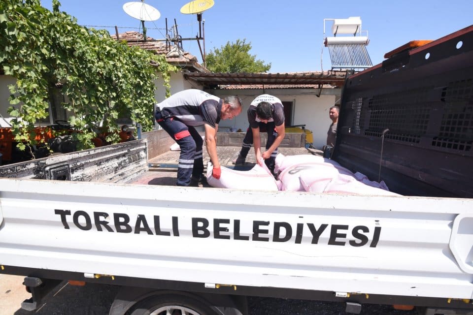 Bu yıl belediyeye ait topraklarına buğday ekerek hem belediye ekonomisine