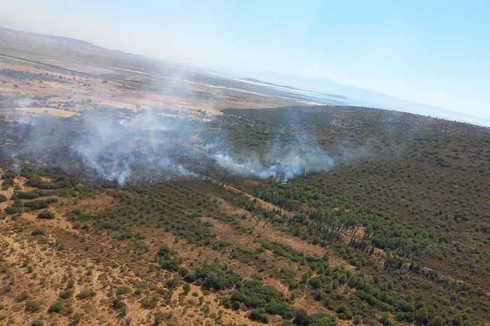 İZMİR'in Fo&ccedil;a il&ccedil;esinde makilikte &ccedil;ıkan yangın, ormana da sı&ccedil;radı. Ekipler,