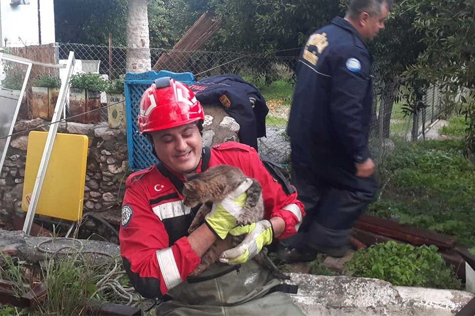 Muğla'nın&nbsp;Bodrum il&ccedil;esinde, 8 metre derinliğindeki su kuyusuna d&uuml;şen kediyi itfaiye