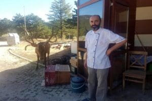 Manisa'da, Doğa Koruma ve Milli Parklar Genel M&uuml;d&uuml;rl&uuml;ğ&uuml; tarafından doğaya