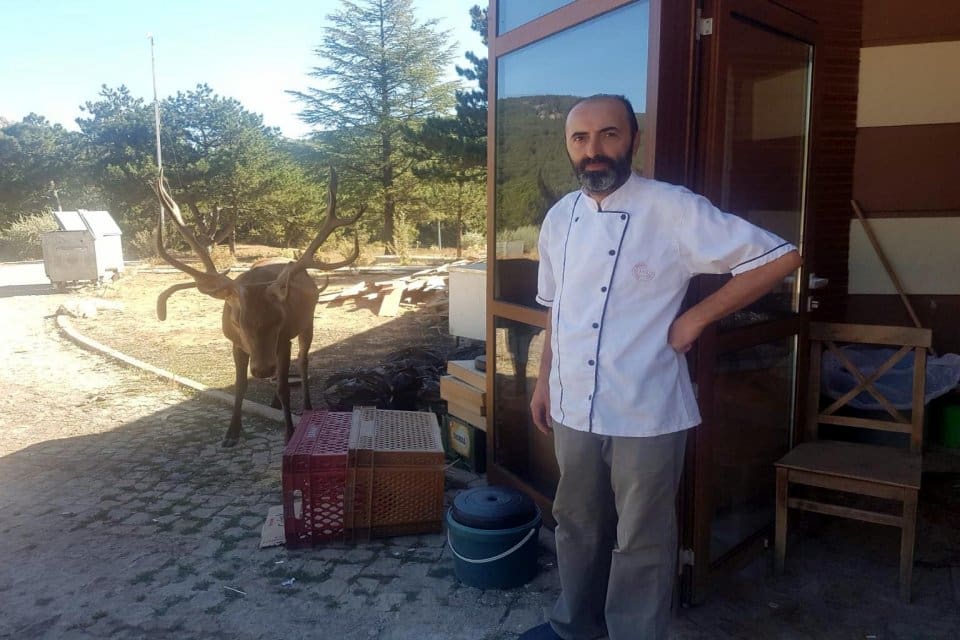 Manisa'da, Doğa Koruma ve Milli Parklar Genel M&uuml;d&uuml;rl&uuml;ğ&uuml; tarafından doğaya
