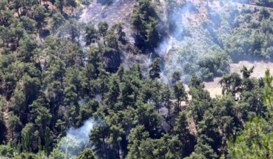 Manisa'da korkutan orman yangını