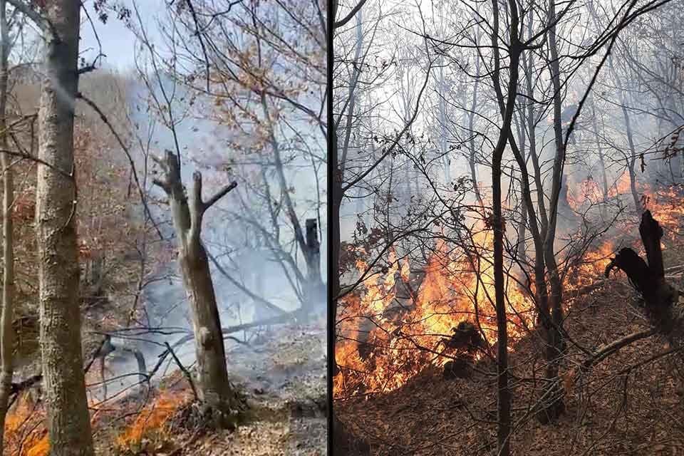 Manisa'nın Turgutlu il&ccedil;esinde &ccedil;ıkan orman yangını, orman ekipleri ve &ccedil;evredekilerin