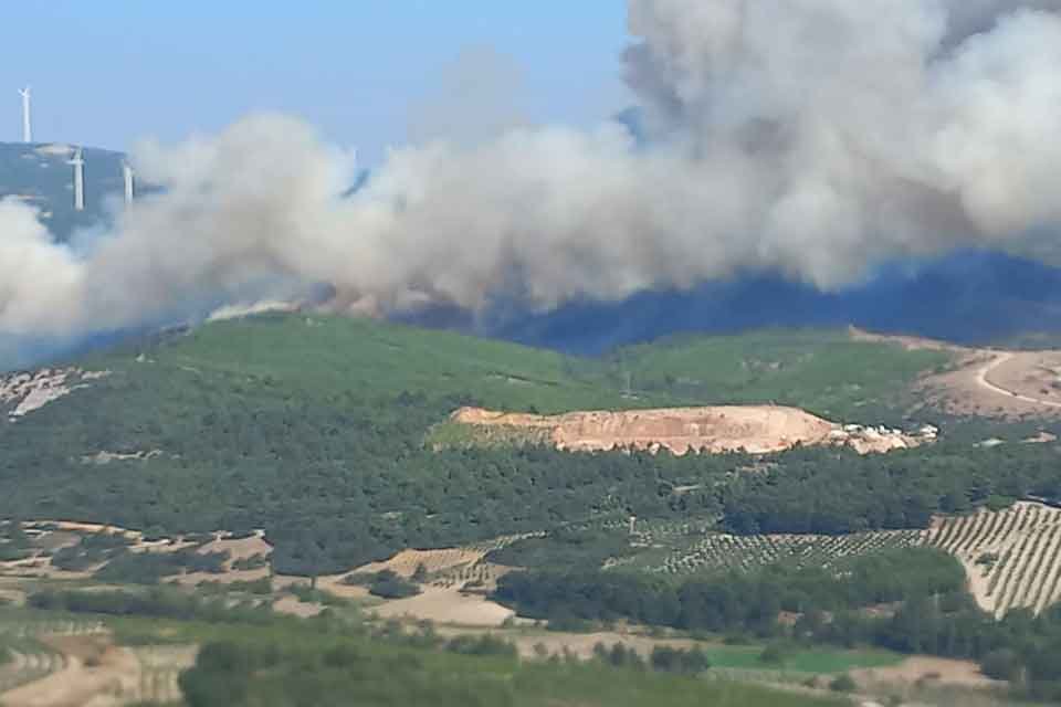 MANİSA'nın Soma il&ccedil;esinde orman yangını &ccedil;ıktı. Alevlere, havadan ve karadan
