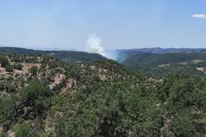 Manisa'nın Demirci il&ccedil;esinde ormanlık alanda &ccedil;ıkan yangına havadan ve karadan