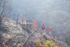 MANİSA'nın Salihli il&ccedil;esinde &ccedil;ıkan yangında 105 d&ouml;n&uuml;m orman zarar g&ouml;rd&uuml;.