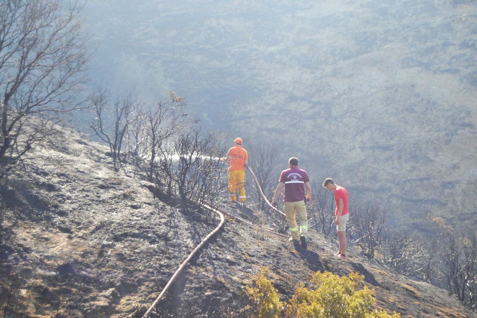 MANİSA'nın Salihli il&ccedil;esinde &ccedil;ıkan yangında 105 d&ouml;n&uuml;m orman zarar g&ouml;rd&uuml;.