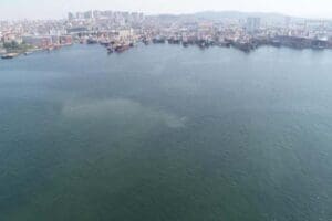 İstanbul Tuzla ve Kadık&ouml;y sahillerinde m&uuml;silaj benzeri kirlilik g&ouml;r&uuml;lmeye başlandı.