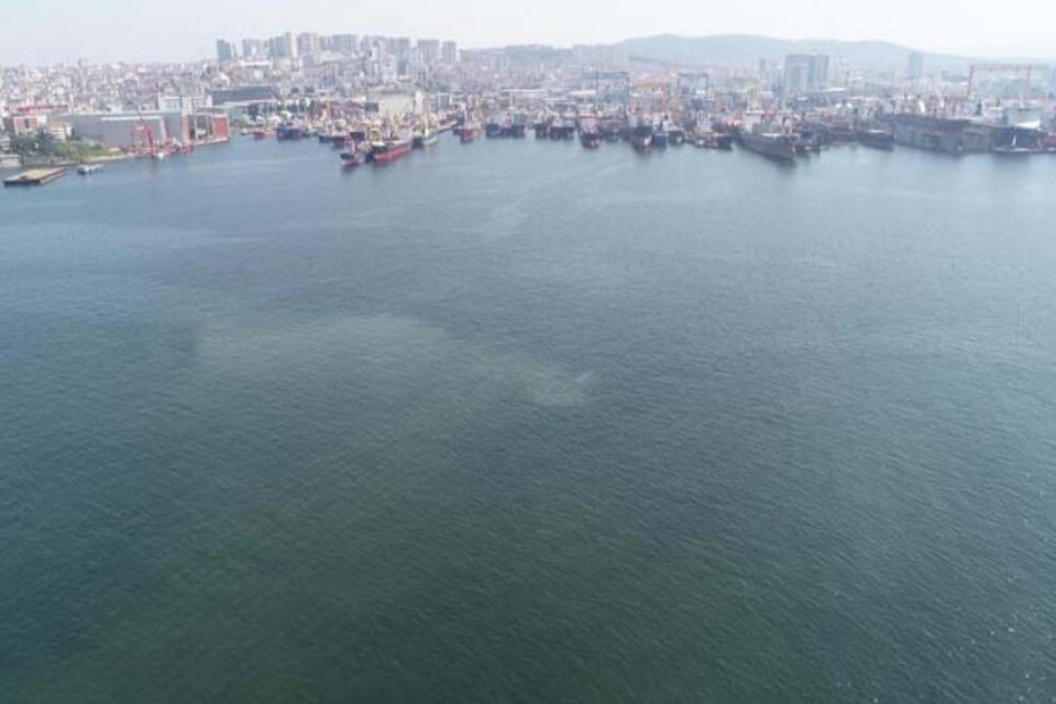 İstanbul Tuzla ve Kadık&ouml;y sahillerinde m&uuml;silaj benzeri kirlilik g&ouml;r&uuml;lmeye başlandı.