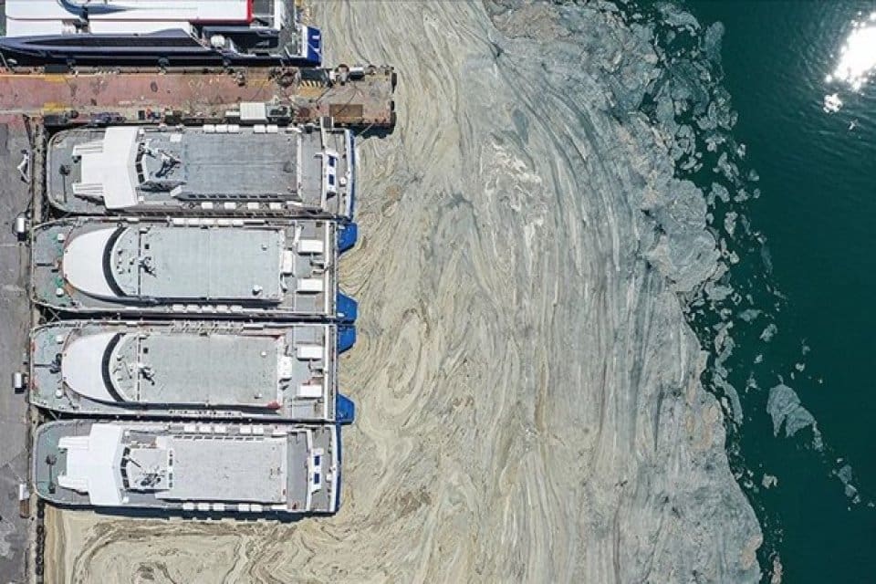 T&uuml;rkiyeli bilim insanları Marmara Denizi'ndeki m&uuml;silaj problemi &ccedil;&ouml;zmek i&ccedil;in reaktif