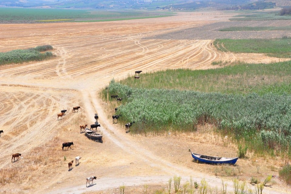 MANİSA'da, son 2 yılda yaşanan kuraklık ve su kaynaklarının kesilmesiyle