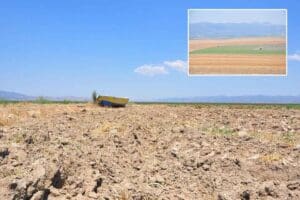 MANİSA'daki 'Ulusal &Ouml;neme Sahip Sulak Alan' tescilli, 'kuş cenneti' olarak