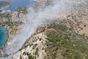 MUĞLA'nın Marmaris il&ccedil;esinde, ke&ccedil;ilerine saldıran yılanları uzaklaştırmak i&ccedil;in ateş yaktığını