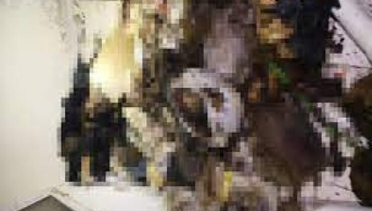 Marmaris'teki bir evde çok sayıda köpek ve kedi ölüsü bulundu