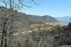 Muğla'nın Marmaris il&ccedil;esinde 9 g&uuml;n s&uuml;ren orman yangınlarında 13 bin