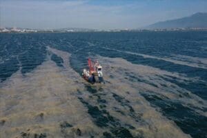 Marmara&rsquo;yı bitiren m&uuml;silaj, Kocaeli&rsquo;nin doğa harikası plajlarını da &ouml;ld&uuml;rd&uuml;. Karam&uuml;rsel&rsquo;in