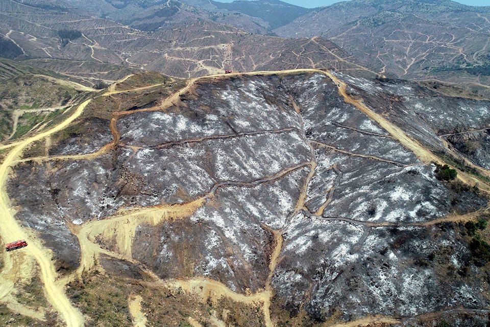 İzmir'in Menderes il&ccedil;esinde, 430 hektar ormanlık alanın k&uuml;le d&ouml;nd&uuml;ğ&uuml; yangınla