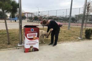 Menderes Belediyesi tarafından sokak hayvanları için hazırlanan bayat ekmek üniteleri